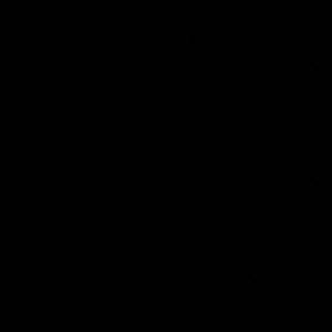 Meet your Posher, Jocelyn